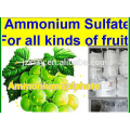 Ammoniumsulfat Granular - Nitratdünger